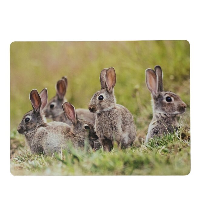Mars & More Placemat Konijnen familie 30x40cm (set van 4)