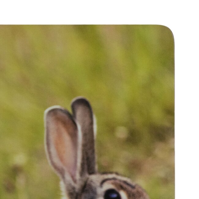 Mars & More Placemat Konijnen familie 30x40cm (set van 4)