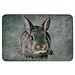 Mars & More deurmat grijs bruin konijn 75x50cm