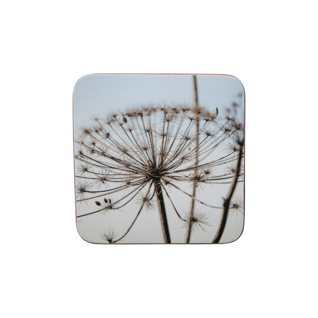 Mars & More onderzetter natuur berenklauw 10x10cm (6)