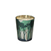 J-Line Geurkaars Noa Forest Soja Groen/Goudkleurig Medium-68H
