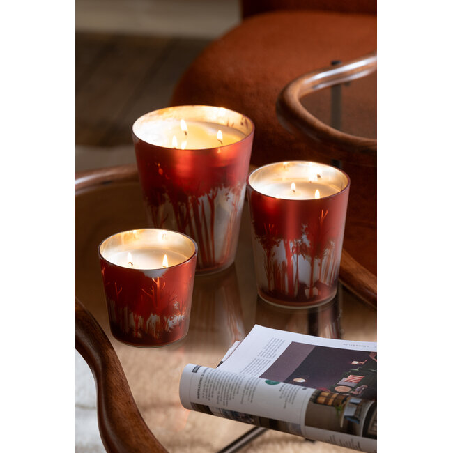 J-Line Geurkaars Noa Forest Soja Rood/Goudkleurig Medium-68H