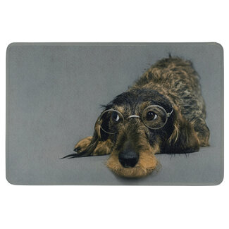 Mars & More deurmat humor ruwharige teckel bril 75x50cm