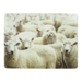 Mars & More placemat schapen 30x40cm (4)