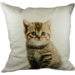 Mars & More canvas kussen kitten 50x50cm*