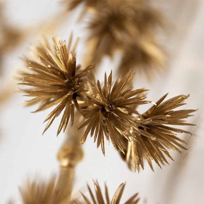 Mars & More siertak distel goud champagne 97cm*