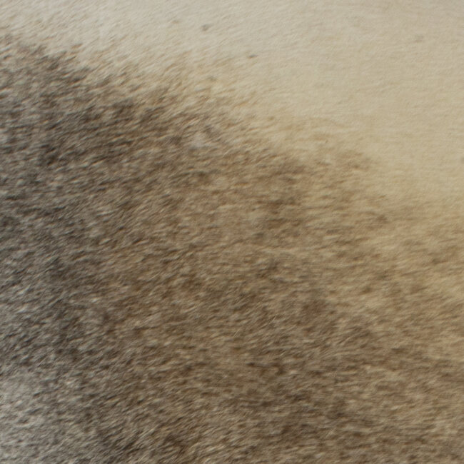 Mars & More kruk koe grijs rond 45cm