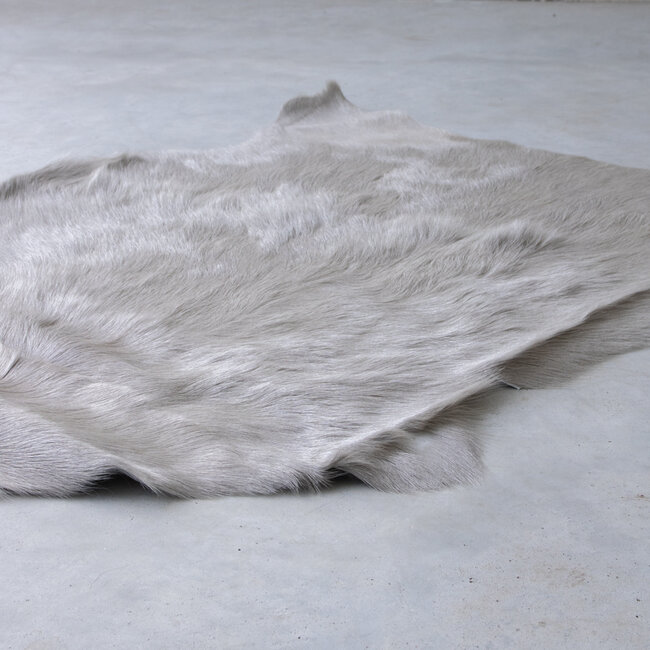 Mars & More vacht geit grijs