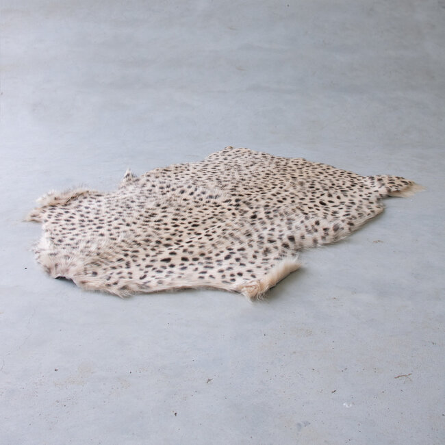 Mars & More vacht geit cheetah