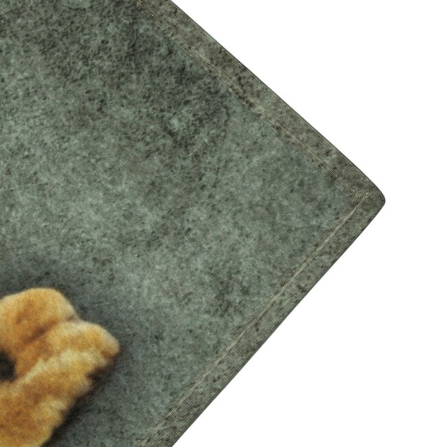 Mars & More deurmat konijn achterpoten 75x50cm