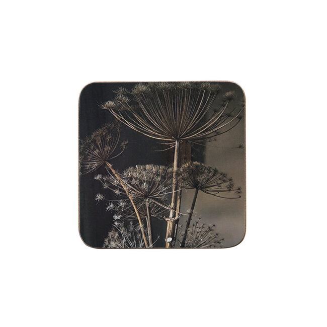 Mars & More onderzetter berenklauw donker 10x10cm (6)