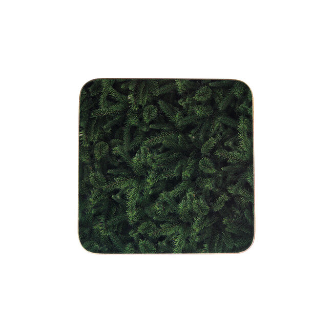 Mars & More onderzetter dennentakken 10x10cm (6)*