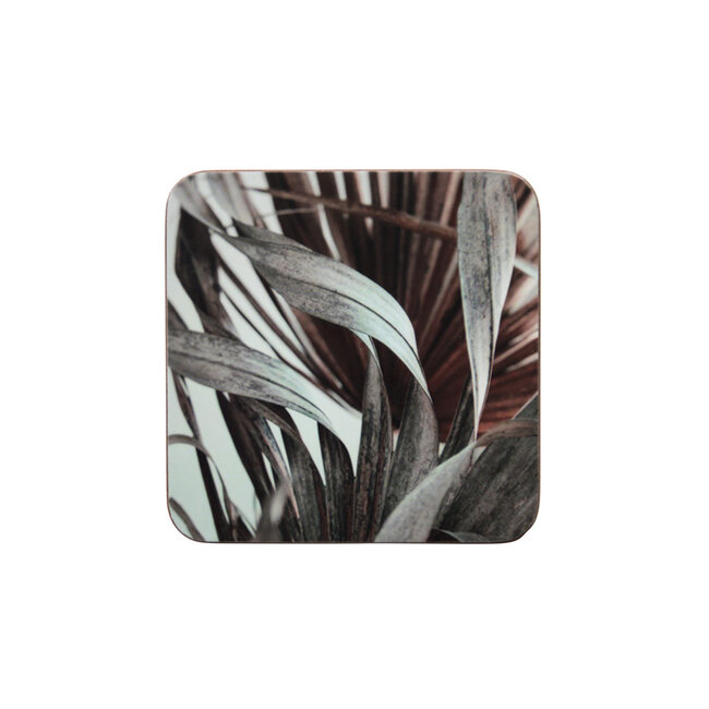 Mars & More *onderzetter natuur siergras 10x10cm (6)*