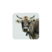 Mars & More onderzetter zwitserse koe 10x10cm (6)
