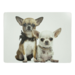 Mars & More placemat chihuahua's 30x40cm (4)*