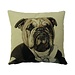 Mars & More gobelin kussen aristo graaf engelse bulldog 45x45cm