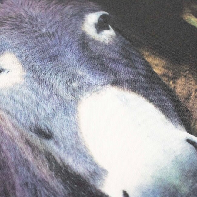 Mars & More Ezels outdoor kussen 50x50cm