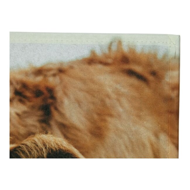 Mars & More Deurmat Zwitserse Koe in de wei 75x50cm