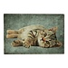 Mars & More deurmat grijs tabby liggend 75x50cm