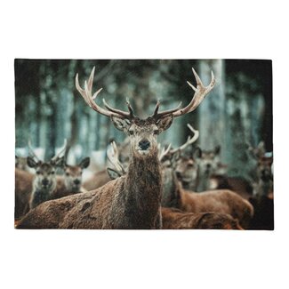 Mars & More deurmat winter hert 75x50cm