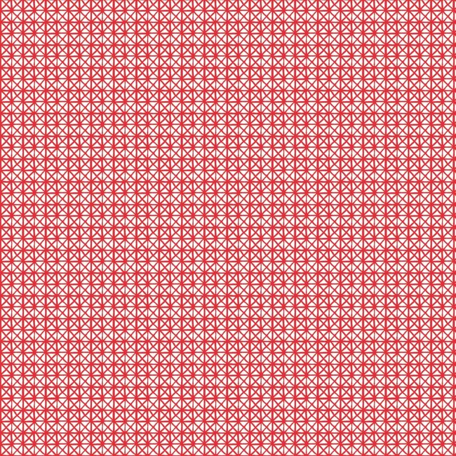 2Lif Andy Zelfklevende Folie Mini rol rood 45cmx2mtr