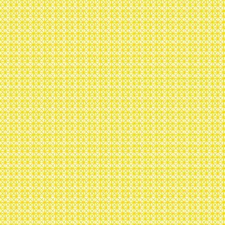 2Lif Andy Zelfklevende Folie Mini rol geel 45cmx2mtr