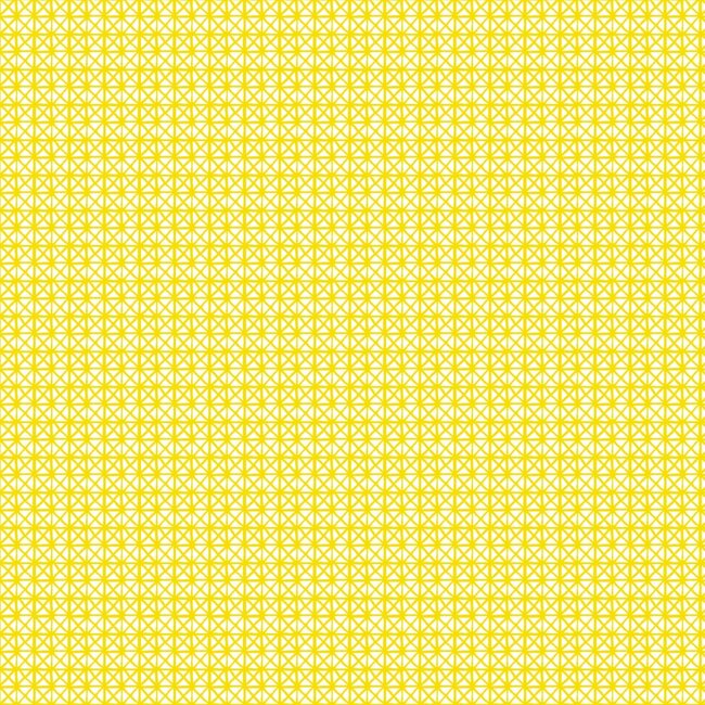 2Lif Andy Zelfklevende Folie Mini rol geel 45cmx2mtr