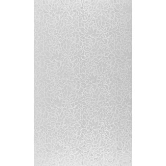 2Lif Toulon Statische raamfolie Mini rol transparant 67,5cmx2mtr