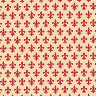 2Lif Lily Zelfklevende Folie Mini rol rood 45cmx2mtr