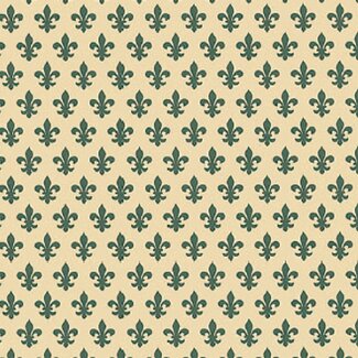 2Lif Lily Zelfklevende Folie Mini rol groen 45cmx2mtr