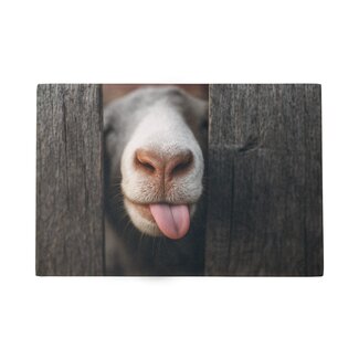 Mars & More Deurmat Nieuwsgierig schaap 75x50cm