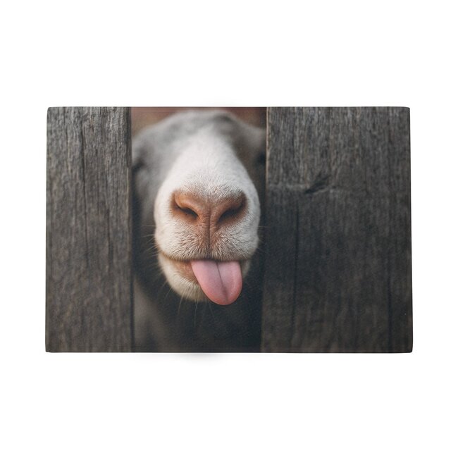 Mars & More Deurmat Nieuwsgierig schaap 75x50cm