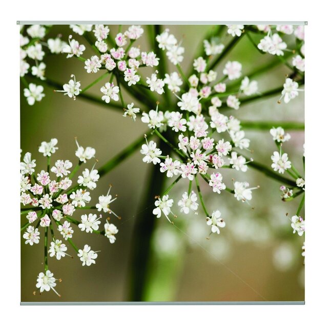 2Lif Romy Outdoor TextielPoster fotoprint 95x95cm