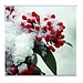 2Lif Keira Outdoor TextielPoster fotoprint 95x95cm