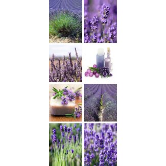 2Lif Banner Anika 75 cm x 180 cm