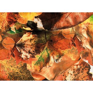 2Lif Deco Nottingham 150 cm x 2,5 mtr