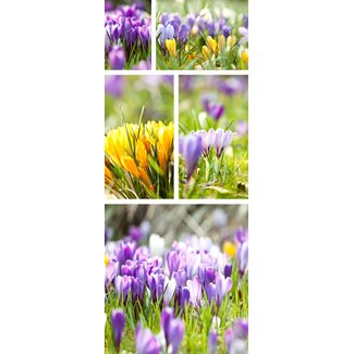 2Lif Banner Mia 75 cm x 180 cm