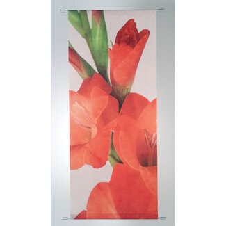 2Lif Banner Fabiola 75x180 cm