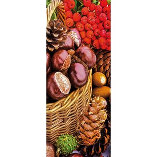 2Lif Banner Olga 75 cm x 180 cm