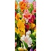 2Lif Banner Krista 75 cm x 180 cm