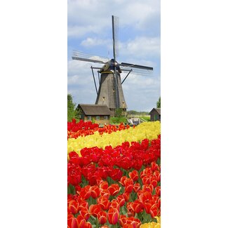 2Lif Banner Lisse 75 cm x 180 cm