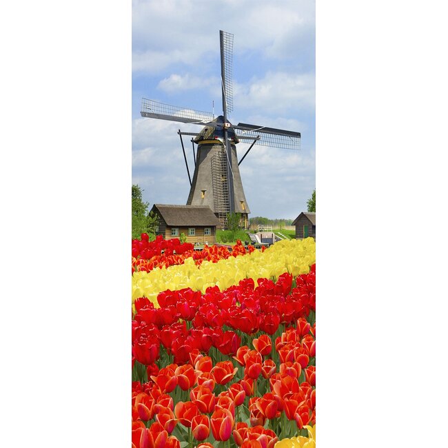 2Lif Banner Lisse 75 cm x 180 cm