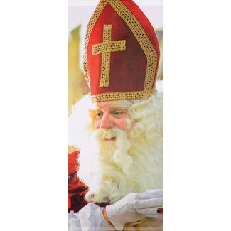 2Lif Banner Sinterklaas 75 cm x 180 cm
