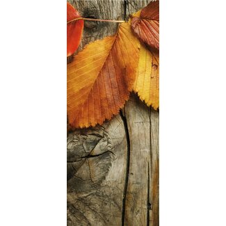 2Lif Banner Aberdeen Banner 75x180 cm