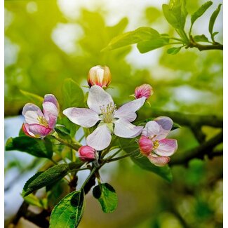 2Lif Julia Outdoor TextielPoster fotoprint 95x95cm