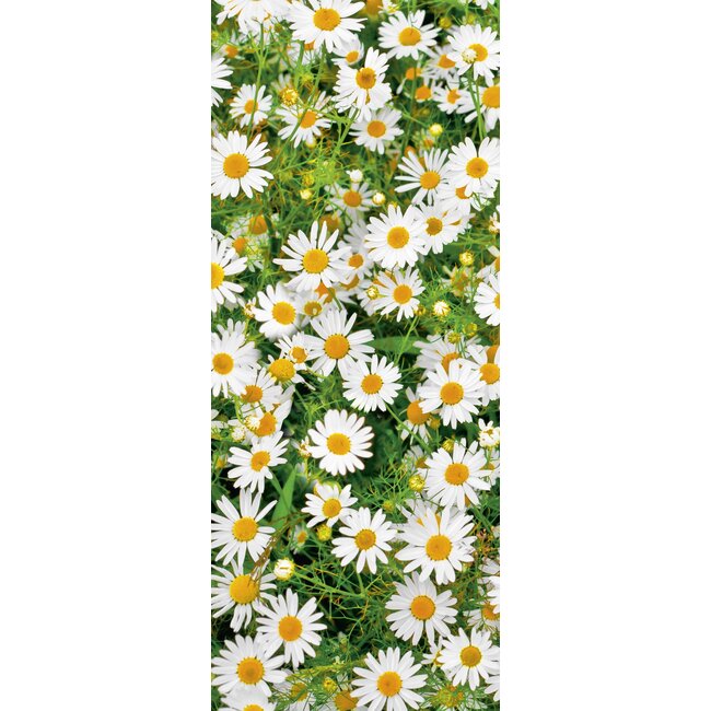 2Lif Banner Maggy 75 cm x 180 cm