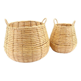 2Lif Merapi Mand zand 50cm