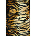 2Lif Tiger animal velvet Deco 150 cm x 2,5 mtr