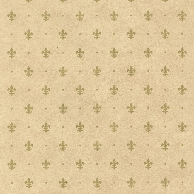 2Lif Lily Zelfklevende Folie Mini rol goud 45cmx2mtr