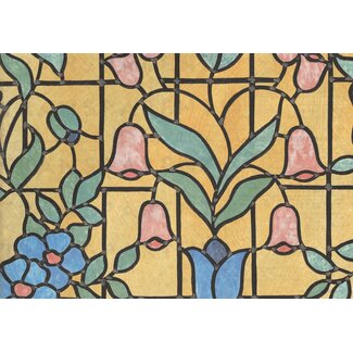 2Lif Nizza Zelfklevende Folie Mini rol transparant 67,5cmx2mtr